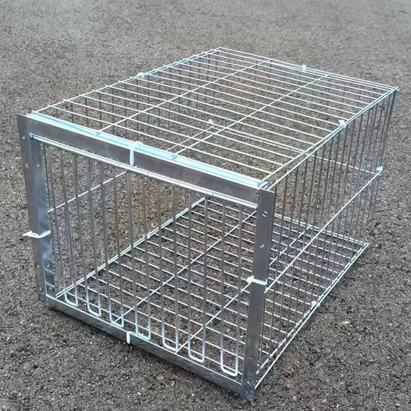 AutoTrap Bird Cage