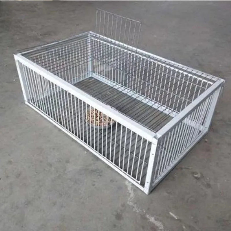 AutoTrap Bird Cage