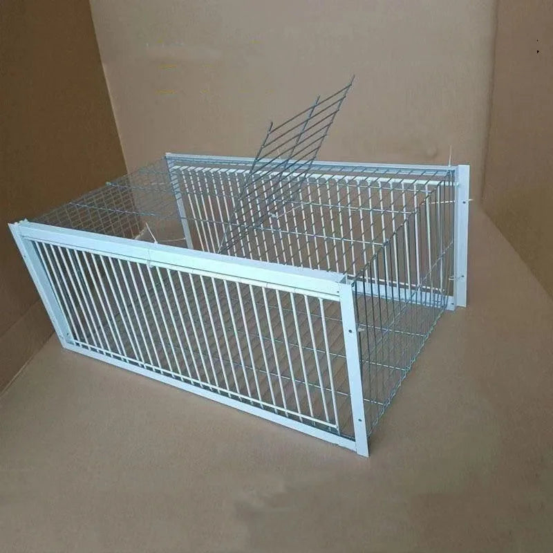 AutoTrap Bird Cage