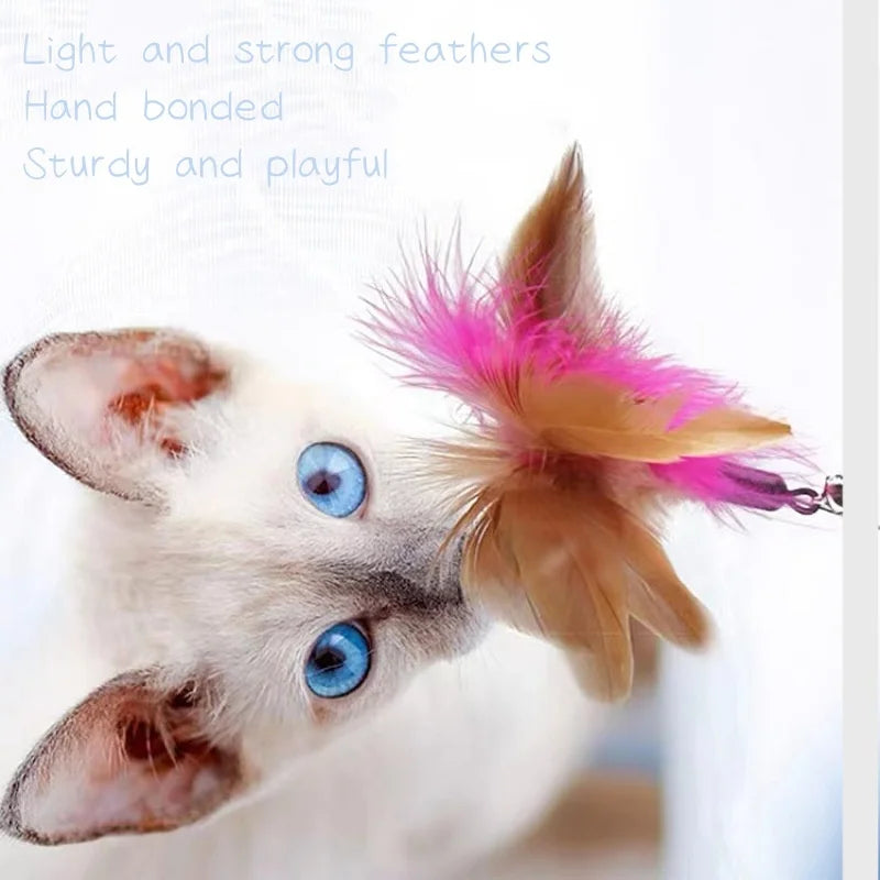 Cat Interactive Feather Collar Teaser Toy