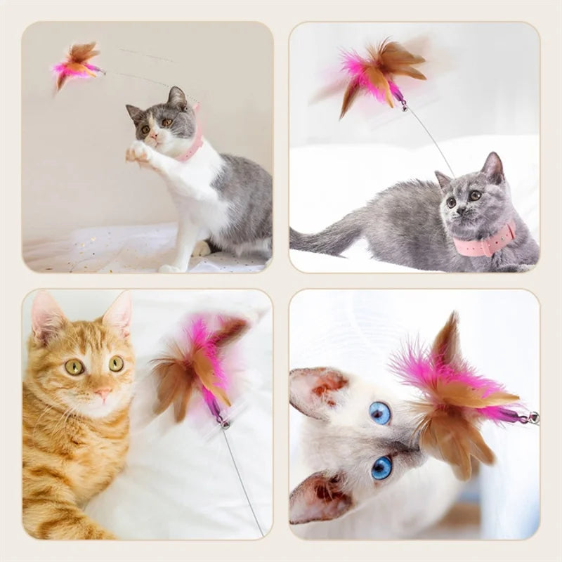 Cat Interactive Feather Collar Teaser Toy