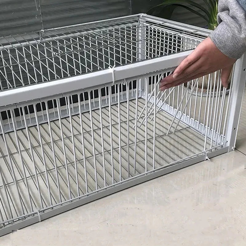 AutoTrap Bird Cage